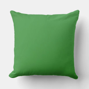 Coussin Accessoires de décoration d'intérieur Verts