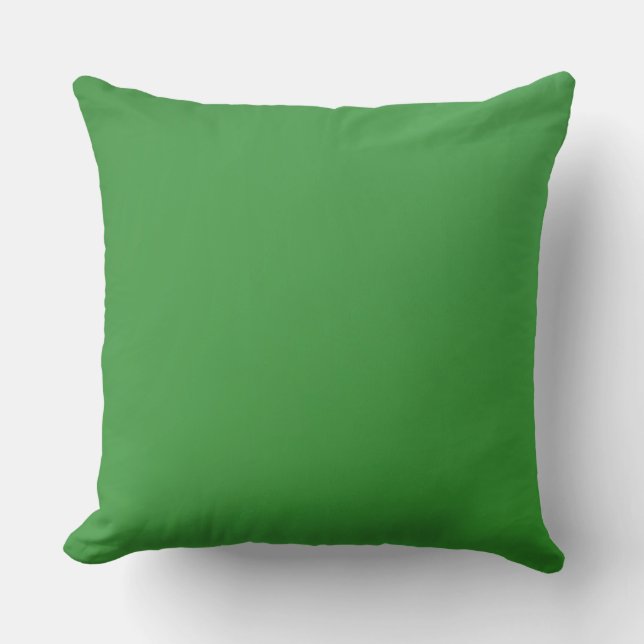 Coussin Accueil Décor Accents Vert (Recto)