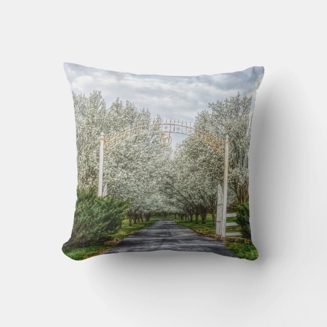 Coussin Accueil du lecteur Spring (Recto)