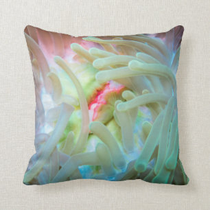 Coussin Actinie multicolore