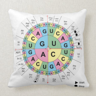 Coussin ADN de code génétique d'acides aminés de codons