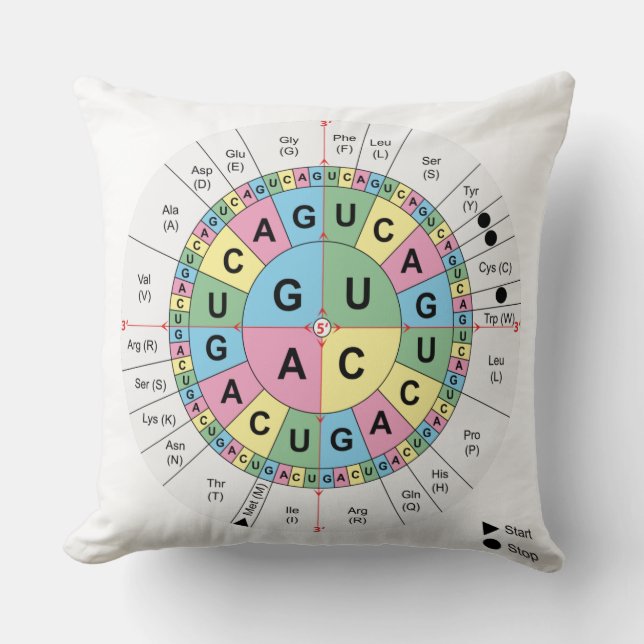 Coussin ADN de code génétique d'acides aminés de codons de (Recto)