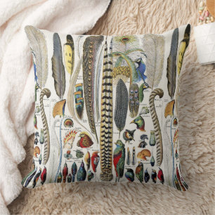Coussin Adolphe Millot Dark Academia Vintage Plume d'Oisea