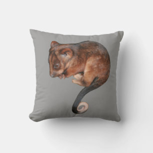 Coussin Adorable Baby Ringtail Possum en Australie