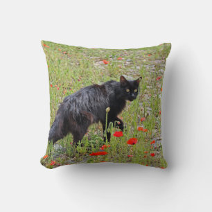 Coussin Adorable Chat Noir !