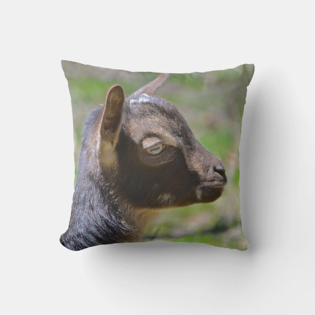 Coussin adorable chèvre de bébé (Recto)