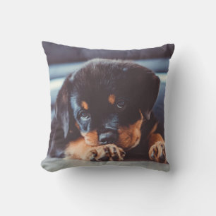 Coussin Adorable Chien de Chien de Chien De Chien De Chien