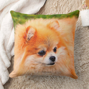 Coussin Adorable Chien Poméranien