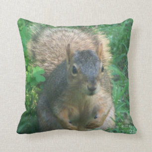 Coussin adorable d'écureuil