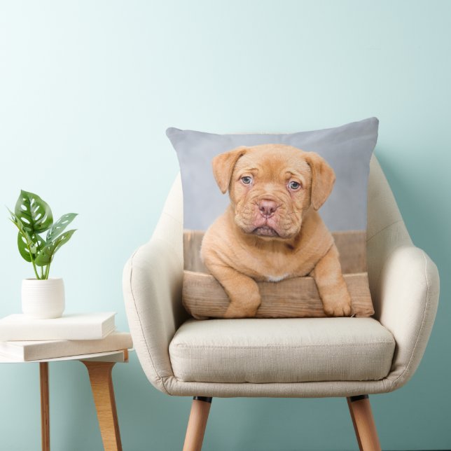 Coussin Adorable Dogue de Bordeaux chiot, Jeter l'oreiller (Chaise)