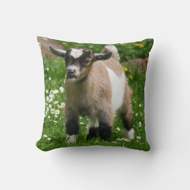 Coussin Adorable gamin nain nigérian (Recto)