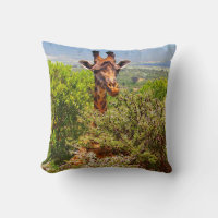 Adorable Giraffe Poking His Head Above The Trees
