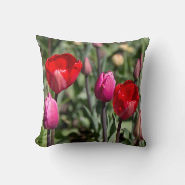 Coussin Affiche de tulipes rouge et violette délicate (Recto)