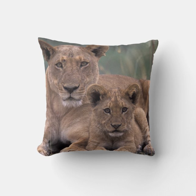 Coussin Afrique, Botswana, Delta de l'Okavango. Lions (Recto)