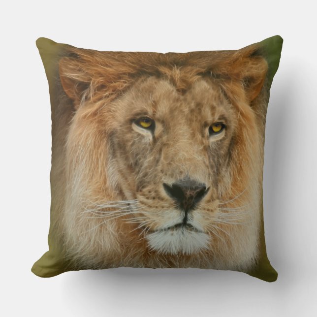 Coussin Afrique du Sud Majestic Lion Fermer (Recto)