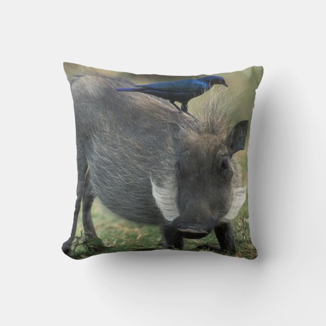 Coussin Afrique du Sud, Pilanesburg GR, Phacochère (Recto)