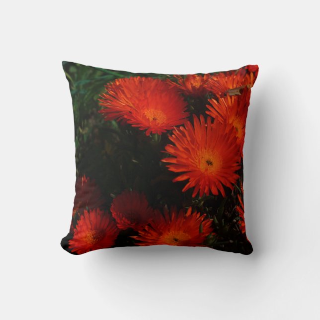 Coussin Afrique du Sud Vert Orange Fleurs Succulentes (Recto)