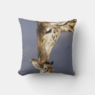 Coussin Afrique, Kenya, Masai Mara. Girafes (Giraffa