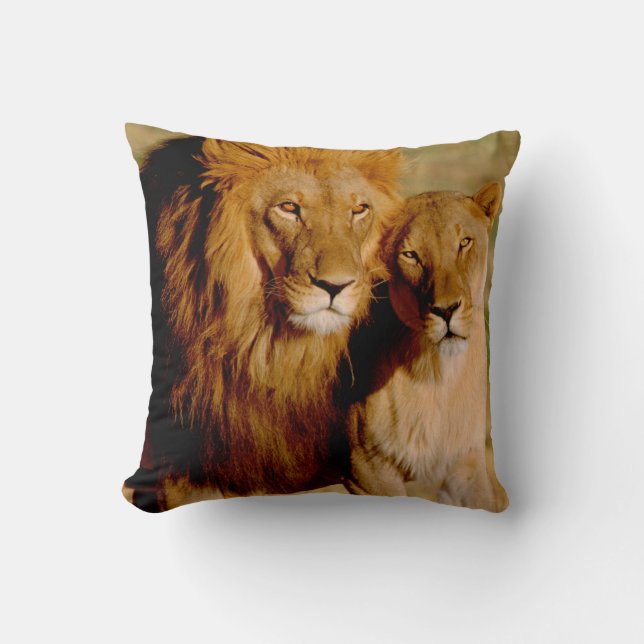 Coussin Afrique, Namibie, Okonjima. Lion & Lion (Recto)