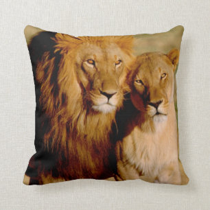 Coussin Afrique, Namibie, Okonjima. Lion & Lion