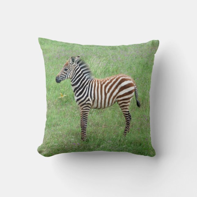 Coussin Afrique Ngorongoro Baby Zebra (Recto)
