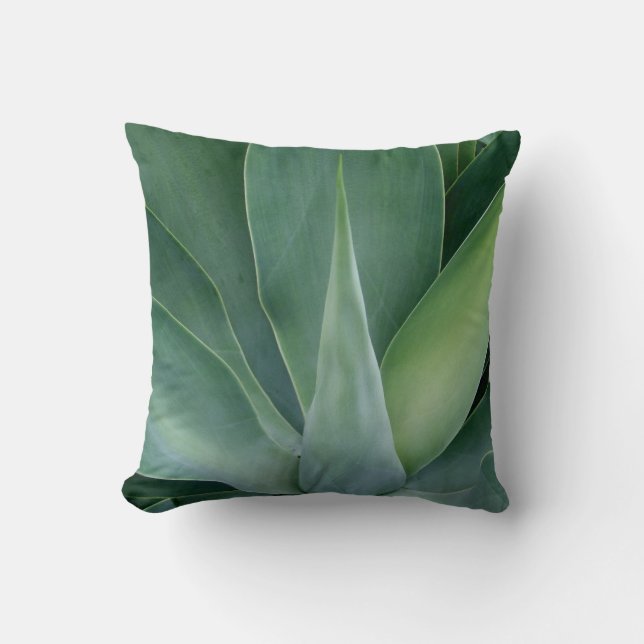 Coussin Agave (Recto)
