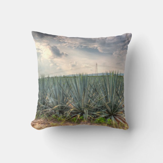 Coussin Agave bleu (Recto)