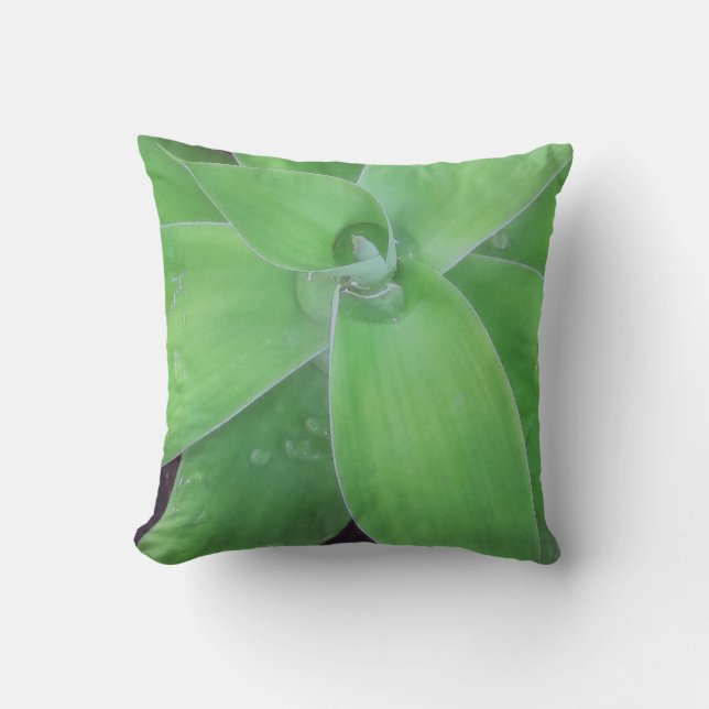 Coussin Agave et Raindrops (Recto)