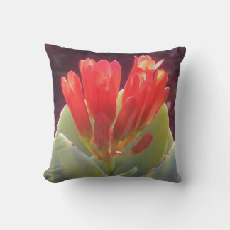 Coussin Agave florissante