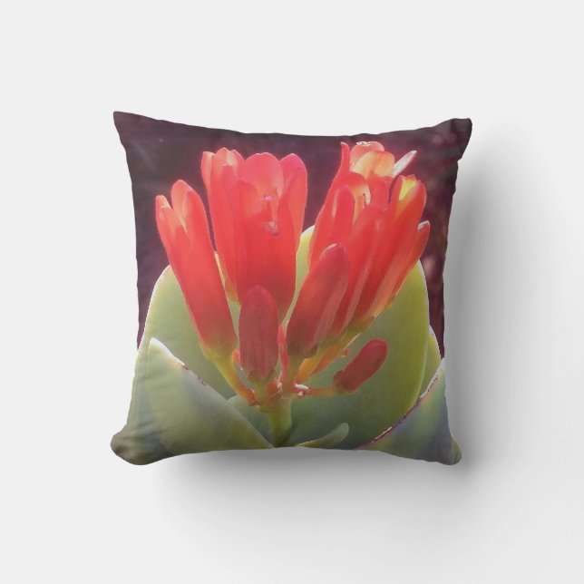 Coussin Agave florissante (Recto)