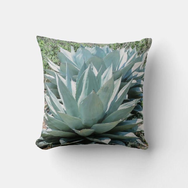 Coussin Agave Plante Succulent Cactus Vert sauge Throw Pil (Recto)