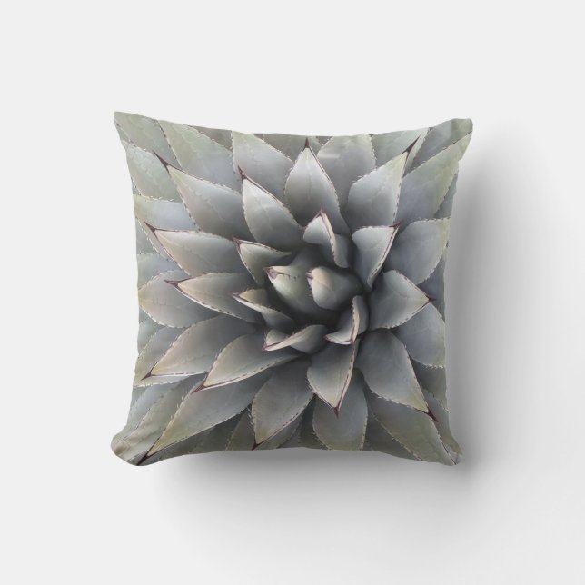 Coussin Agave Succulent Plante Cactus Vert sauge (Recto)