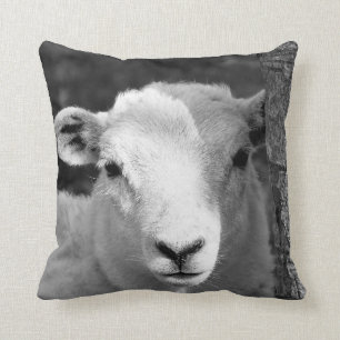 COUSSIN AGNEAU CUIT