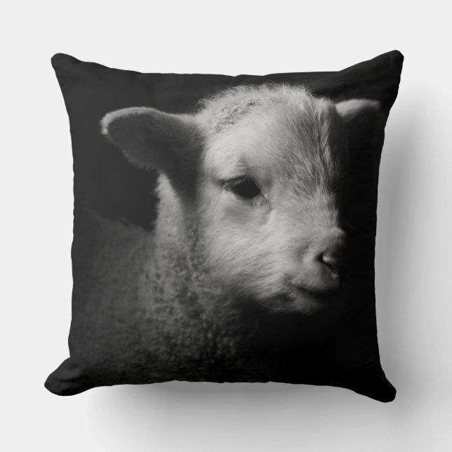 Coussin Agneau nouveau-né (Recto)