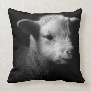 Coussin Agneau nouveau-né