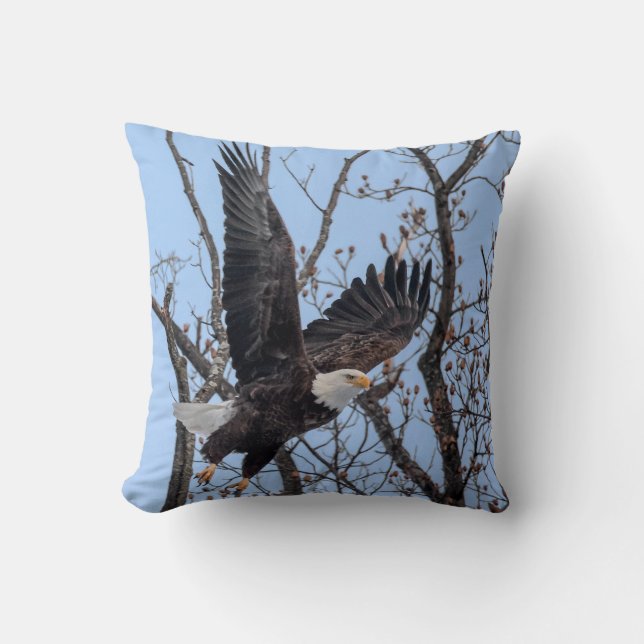 Coussin Aigle à tête blanche décolle (Recto)