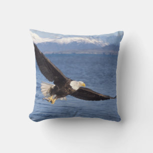 Coussin aigle à tête blanche, Haliaeetus leucocephalus, en