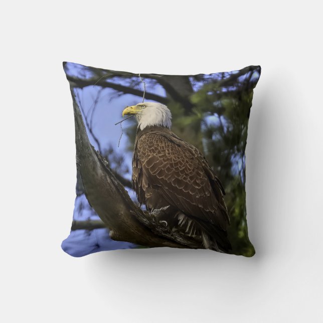 Coussin Aigle maturé (2 Phos) (Recto)