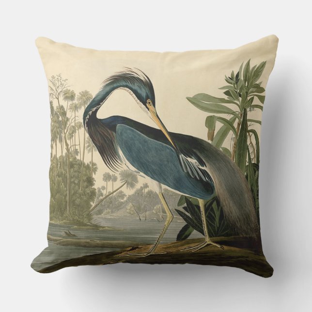 Coussin Aigrette d'Audubon Louisiane Oiseaux Amérique Art (Recto)
