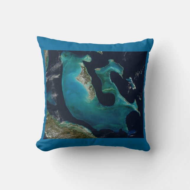 Coussin Aigue-marine Bahamas abstraites (Recto)