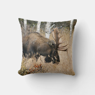 Coussin Aiguille