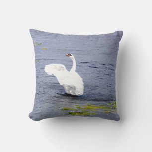 Coussin Ailes de cygne tuberculé