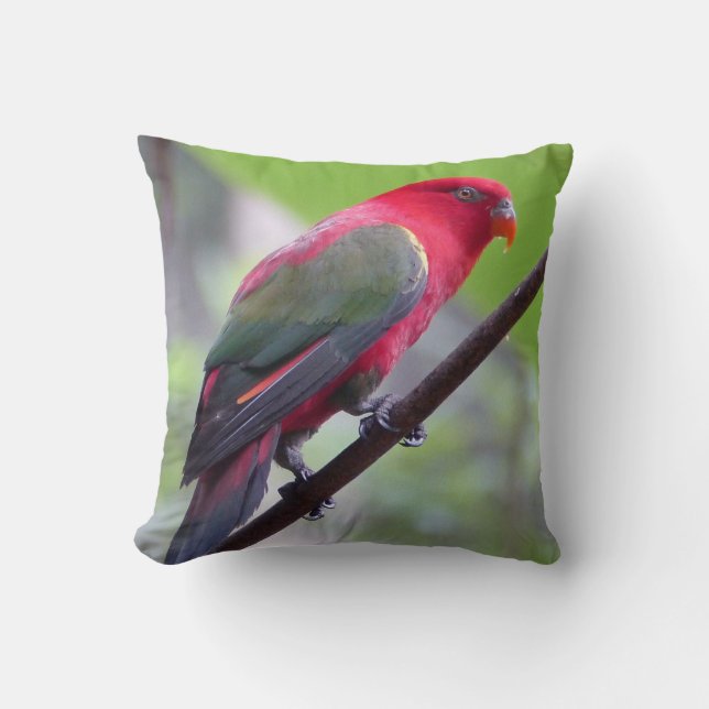 Coussin Ailes d'oiseau Branches Jardin de printemps Foi (Recto)