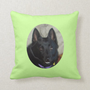 Coussin aimé d'animal familier