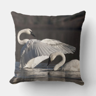 Coussin Aimer les cygnes
