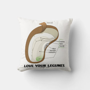 Coussin Aimer vos légumineuses Bean Dicotyledon