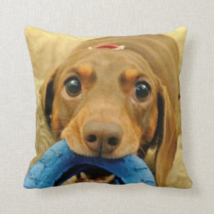 Coussin AIMEZ et LÉCHEZ Pluton mâchant la crème de joue