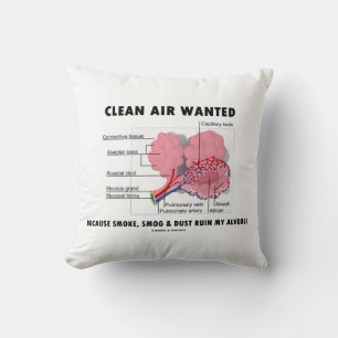 Coussin Air pur Recherché parce que fumée Ruine Alveoli Hu