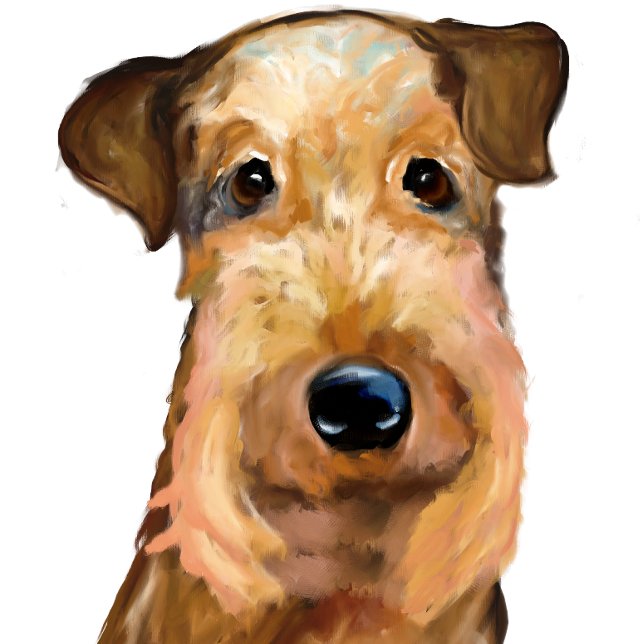 COUSSIN AIREDALE TERRIER (Créateur téléchargé)