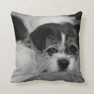 Coussin Ajoutez le carreau de photo d'animal familier